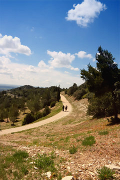 hiking trail through the Alpilles,little Alps,Provence,France