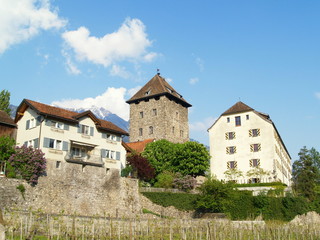 Fototapeta na wymiar maienfeld...le château