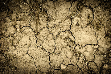 Textured background of cracked dry earth