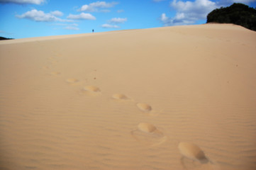 footprints on a sand dune