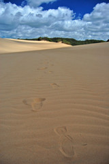 footprints on the sand dune