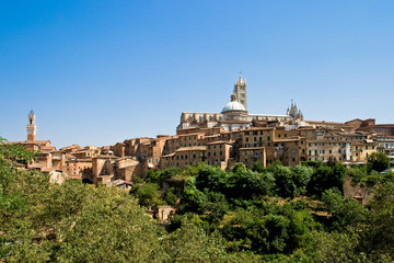 Fototapeta premium Siena Toskana