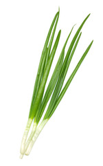 Green onion