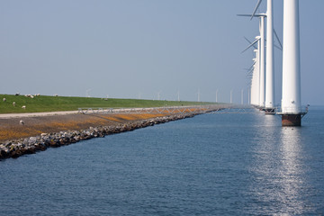Windmills along the dike