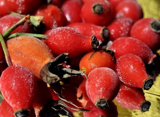 głóg © agnieszkalll