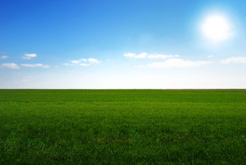 Fototapeta na wymiar Fresh greenfield and shining sun