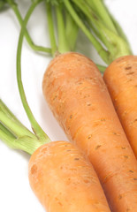 Group of carrots close up.