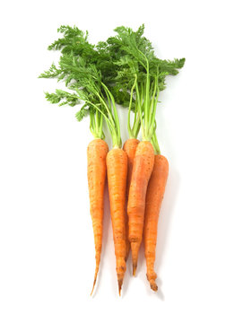 Group of carrots isolated on white.