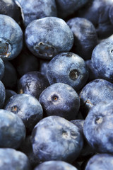Blueberry