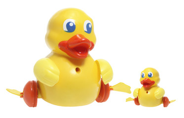Toy Duckling
