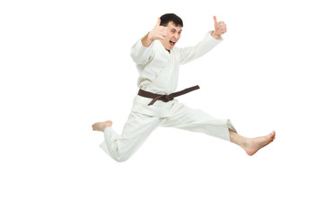 jumping karateka