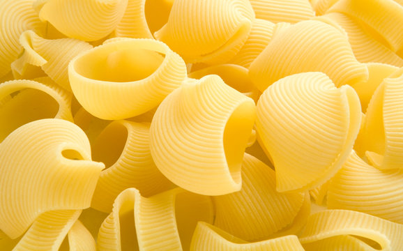 shellpasta