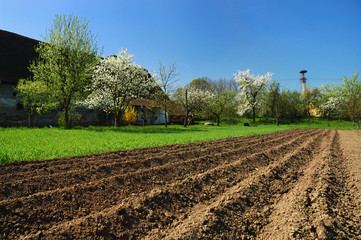 Field