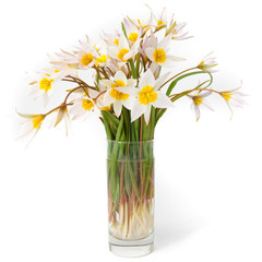 First spring flowers
