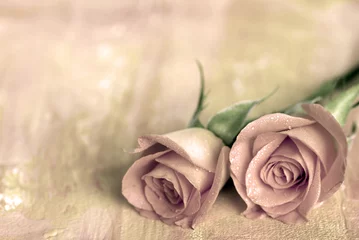 Selbstklebende Fototapete Rosen zwei rosen