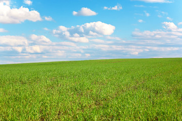 Bright paints in the field