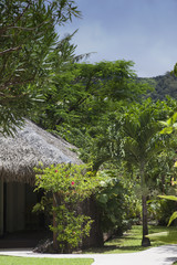 Tropical Garden with palm-thatched Hut