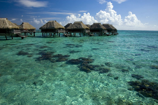 transparent waters of lagoon in french polynesia