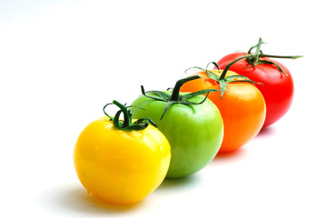 La quatuor de tomates