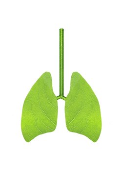 Green Lungs