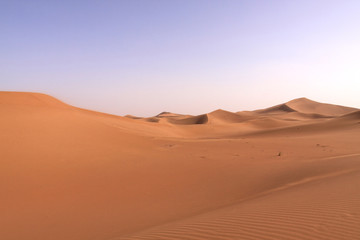Fototapeta na wymiar dunes du Sahara