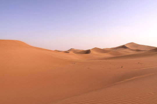 dunes du Sahara © Emmanuelle Combaud