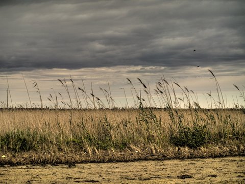 Delte Ebre tres