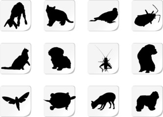 Animals. Set of 12 round vector buttons for web