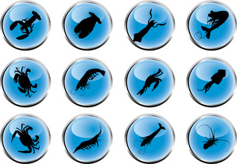 Set fish. Vector. Similar works are in my galleries