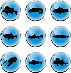 Obraz premium Set fish. Vector. Similar works are in my galleries