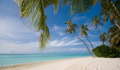 Obraz na płótnie Canvas Tropical bezludnej plaży