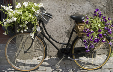 bicicletta con fiori