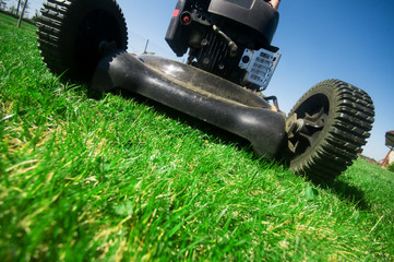 The lawn mower