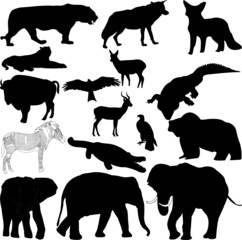 Vector illustration in silhouette of various wild animals
