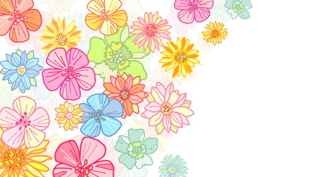 animated flowers background