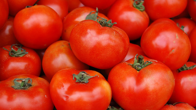 Tomato background. Can be used as wallpaper