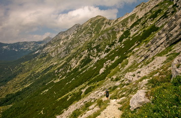 Hiker in alps