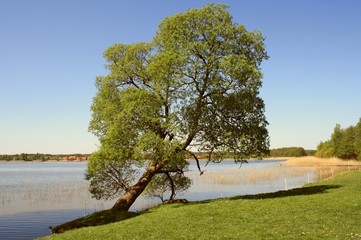 Nature