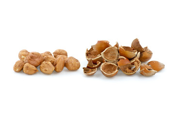 Pile of shelled hazelnuts and shells