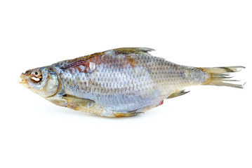 Dried sea roach fish