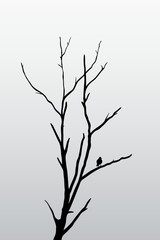 Loneliness