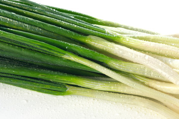 Fototapeta premium Spring onions