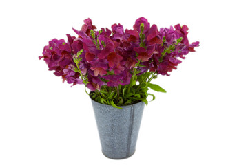 Violet Snap Dragon Bouquet in a tin bucket