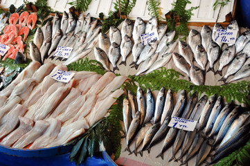 Fische