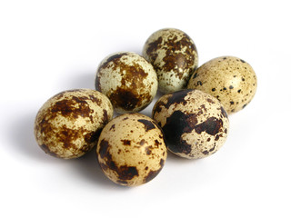 Obraz premium Quail Eggs on white background