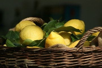 panier de citrons