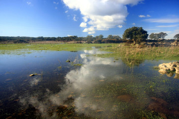 Sardegna: la Piana Di Gesturi.