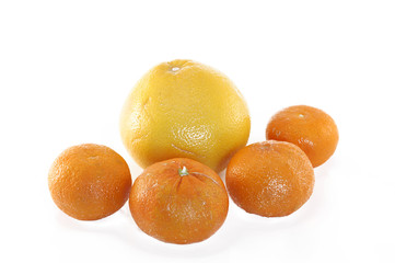 fruits
