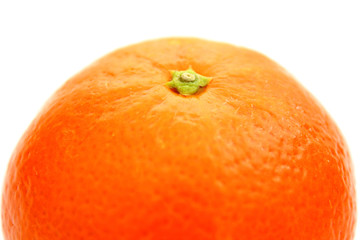 Mandarine
