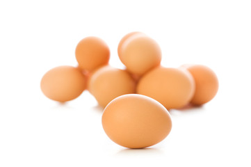 Brown egg on white - shallow depth of field